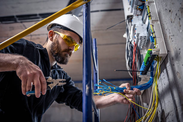 Best Electric Panel Repair  in Collinsville, MS